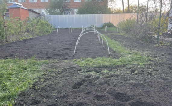 Секрет ноябрьской грядки: ритуал с лавровым листом, который преобразит ваш огород весной