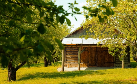 3 способа прогнать муравьёв с участка: когда гели и ловушки не помогли — победа без химии за 5 дней 3 способа прогнать муравьёв с участка: когда гели и ловушки не помогли — победа без химии за 5 дней